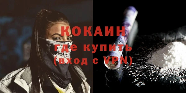 ешки Бородино
