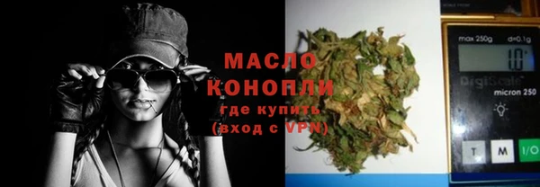 ешки Бородино