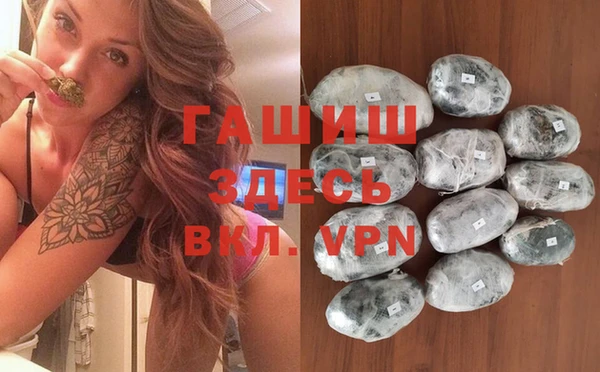 ешки Бородино