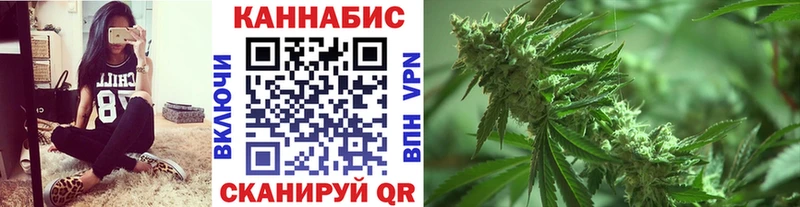 Канабис OG Kush  Брянск 